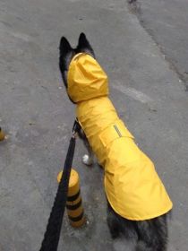 Pet Waterproof Windproof Hood Puppy Raincoat (Option: Yellow-2L)